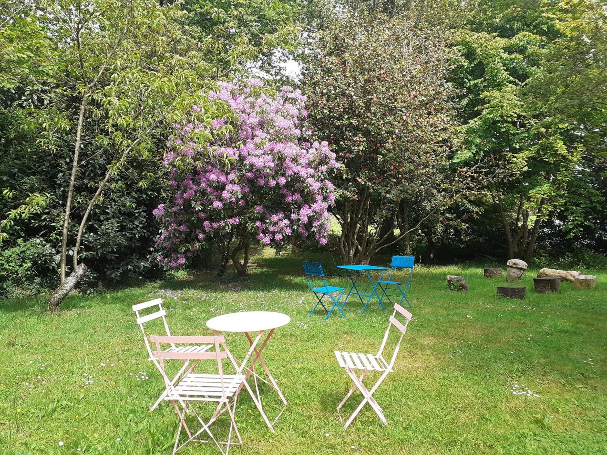 Des Feuilles Et Des Hiboux Hotel Plescop ภายนอก รูปภาพ